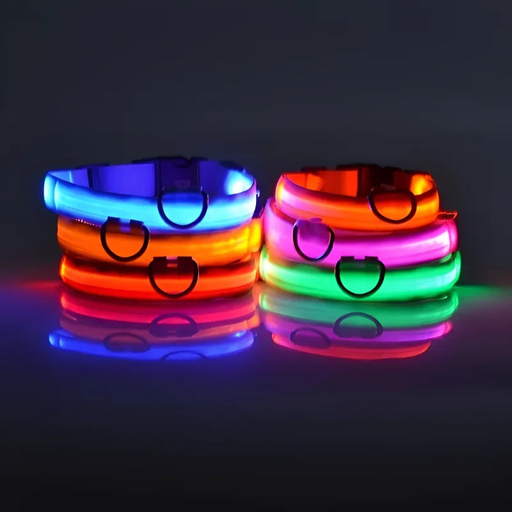 Dog Collar Nylon LED Night Safety