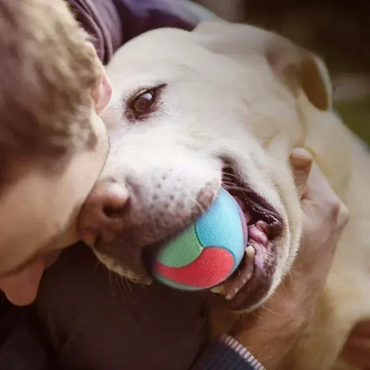 Solid Rubber Dog Balls for Dogs Virtually Indestructible Pet Dog