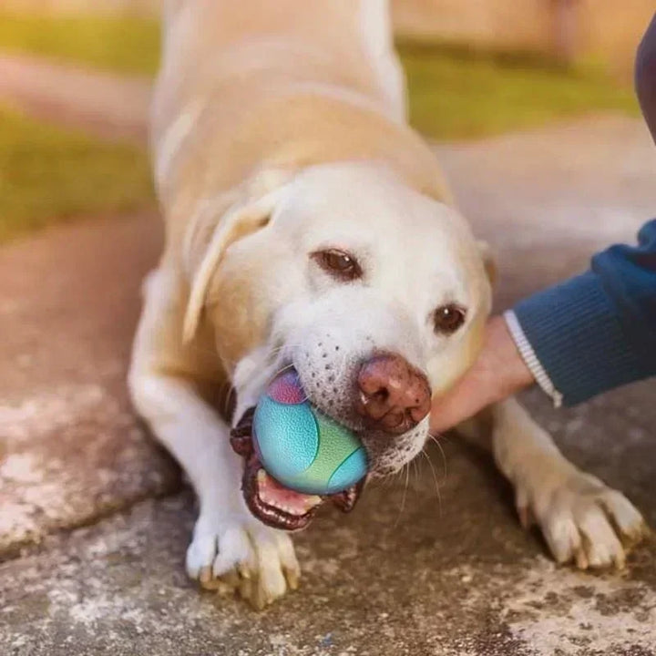 Solid Rubber Dog Balls for Dogs Virtually Indestructible Pet Dog